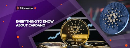 Crypto 101: All you need to know about Cardano